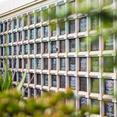 250529_AntonBrown_Web-IMG_9998